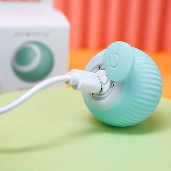 Purrfect Playtime Cat Toy - ELISERIE
