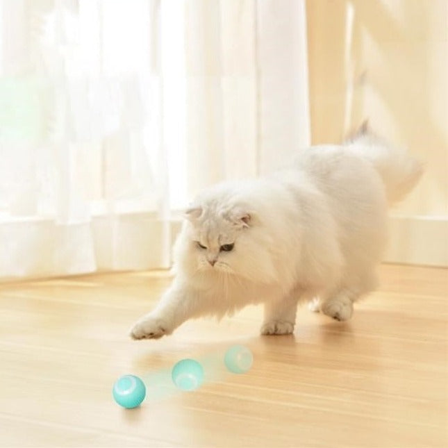 Purrfect Playtime Cat Toy - ELISERIE