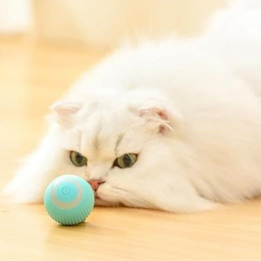 Purrfect Playtime Cat Toy - ELISERIE
