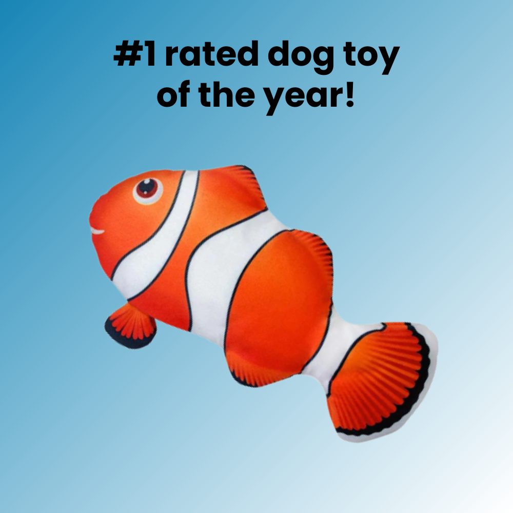 Aqua-Purr Interactive Fish Toy - ELISERIE