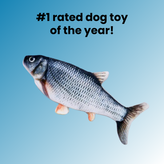 Aqua-Purr Interactive Fish Toy - ELISERIE