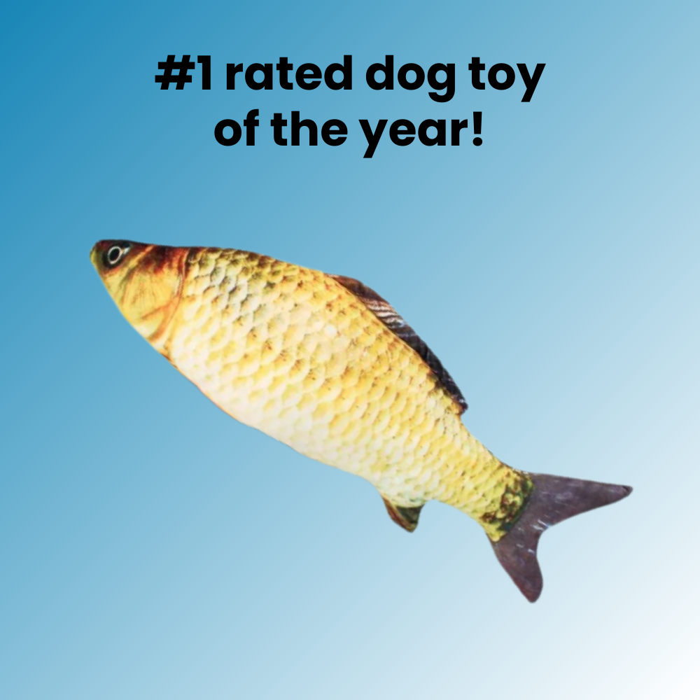 Aqua-Purr Interactive Fish Toy - ELISERIE