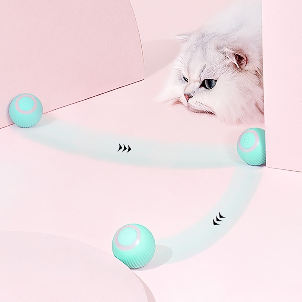 Purrfect Playtime Cat Toy - ELISERIE