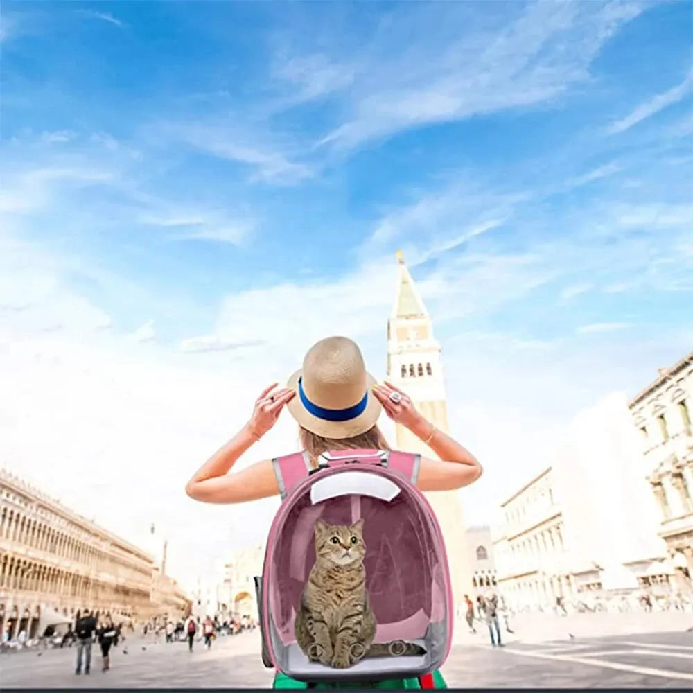 BubbleView Cat Backpack - ELISERIE