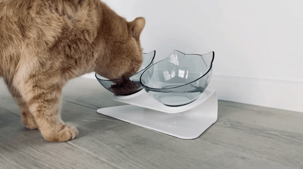 PurrfectEase OrthoFeeder - ELISERIE