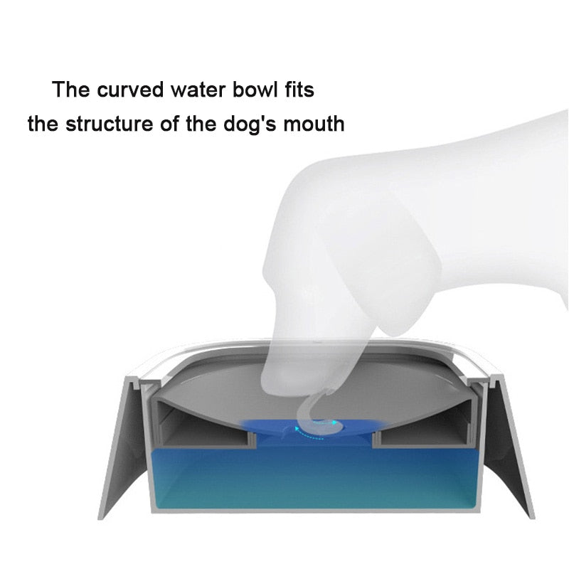 HydroClean Paws - No Spills Pet Water Bowl - ELISERIE