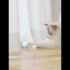 Purrfect Playtime Cat Toy - ELISERIE