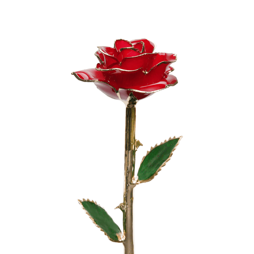 🌹 Eternal Love Gold Rose - ELISERIE