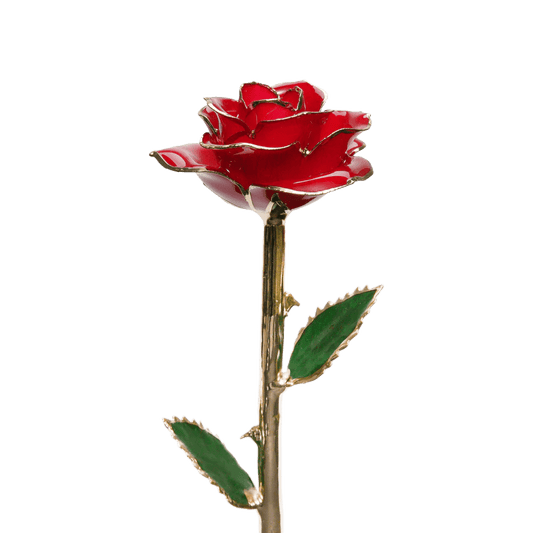 🌹 Eternal Love Gold Rose - ELISERIE