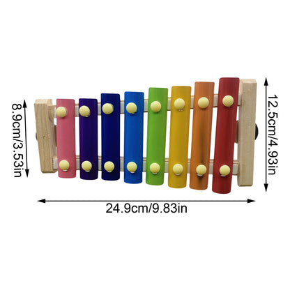 Chicken Coop Xylophone Toy – Interactive Musical Fun for Happy, Healthy Chickens - ELISERIE