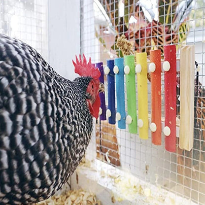 Chicken Coop Xylophone Toy – Interactive Musical Fun for Happy, Healthy Chickens - ELISERIE