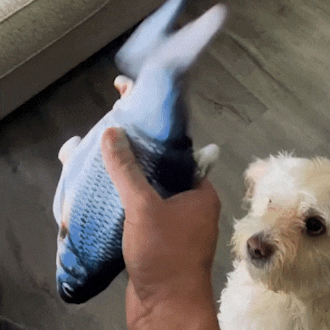Aqua-Purr Interactive Fish Toy - ELISERIE