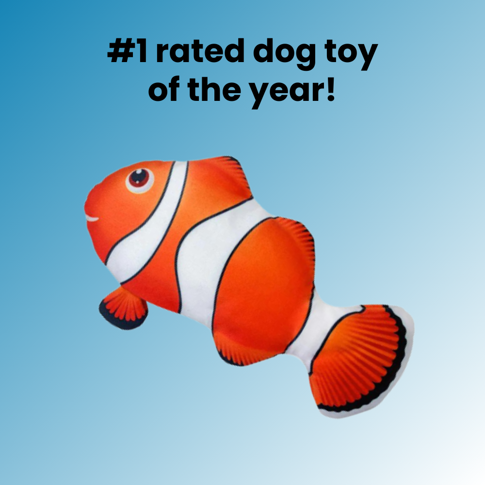 Aqua-Purr Interactive Fish Toy