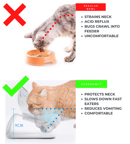 PurrfectEase OrthoFeeder - ELISERIE